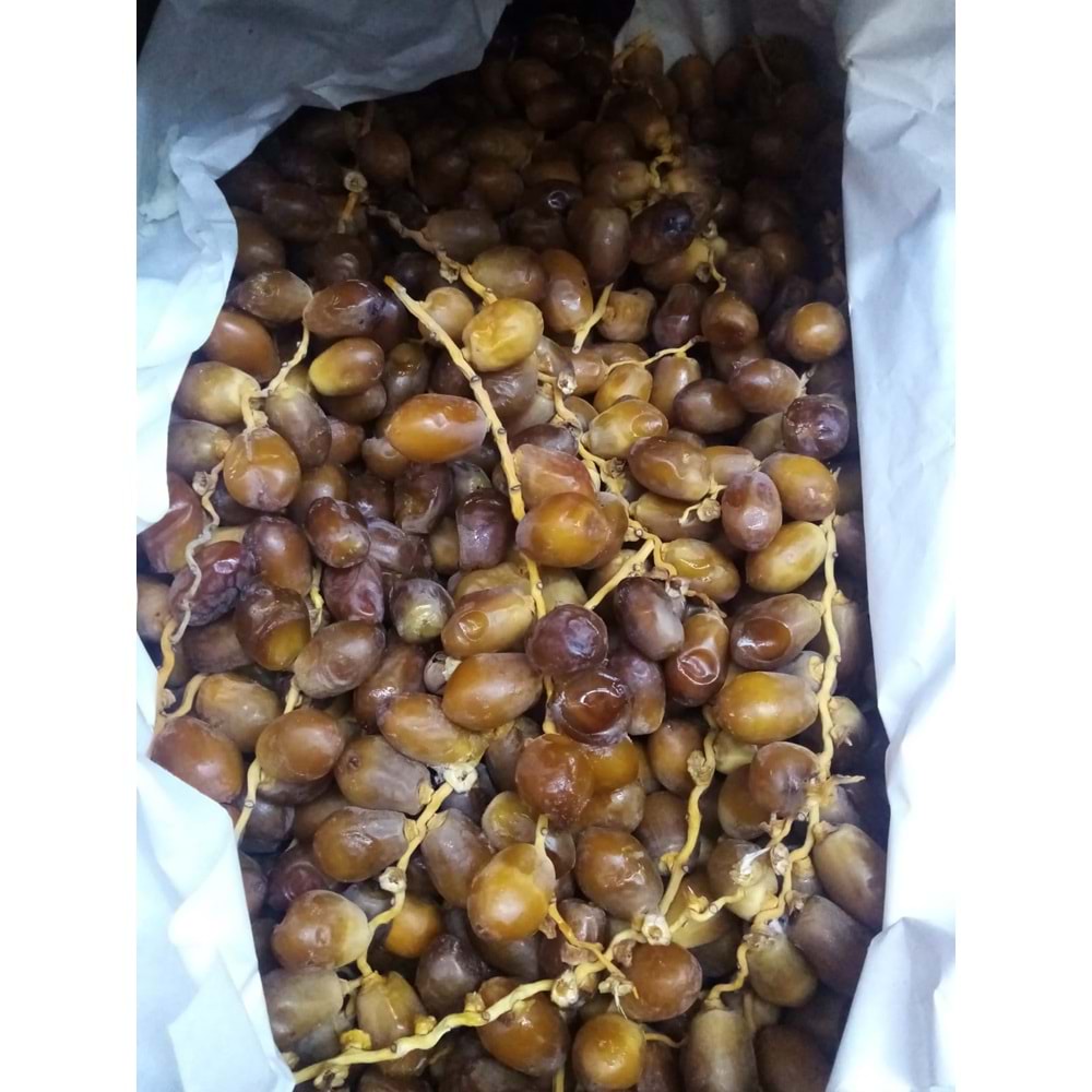 HURMA YAŞ DALLI DÖKME