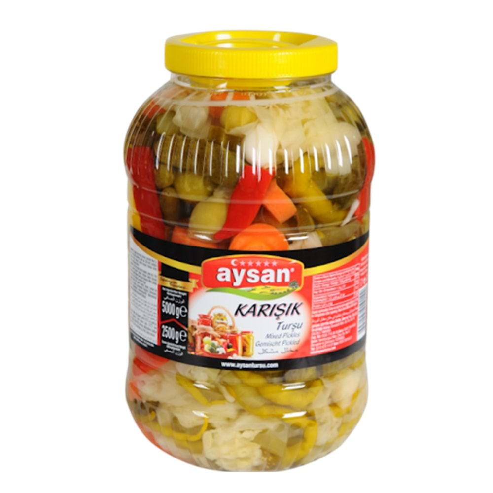 AYSAN KARIŞIK TURŞU 5000GR