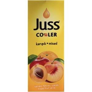 JUSS COOLER KARIŞIK İÇECEK 200ML