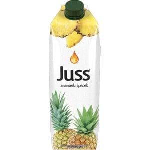 JUSS MEYVELİ İÇECEK 1LT ANANAS