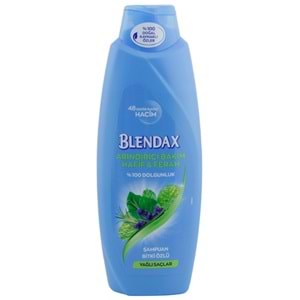 BLENDAX ŞAMPUAN 500ML ARINDIRICI BAKIM