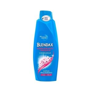 BLENDAX ŞAMPUAN 500ML MAT SAÇLAR