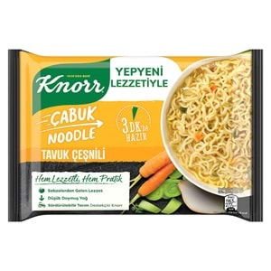 KNORR NOODLE 66GR TAVUK ÇEŞNİLİ