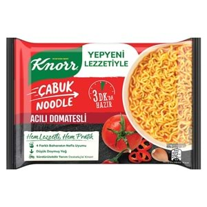 KNORR NOODLE 67GR ACILI DOMATESLİ