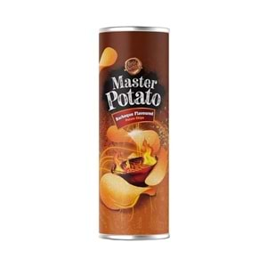 MASTER POTATO 160GR BARBEKÜ ÇEŞNİLİ