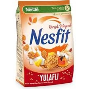 NESTLE NESFİT KARIŞIK MEYVELİ GEVREK 400GR