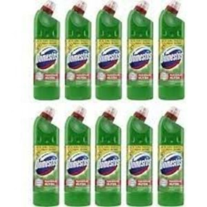 DOMESTOS 750ML DAĞ ESİNTİSİ 10LU PAKET