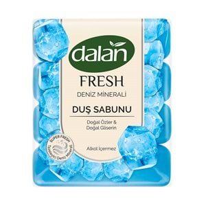 DALAN DUŞ SABUNU 600GR DENİZ MİNERALİ