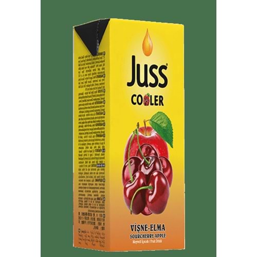 JUSS COOLER ELMA-VİŞNELİ İÇECEK 200ML TATRAPAK