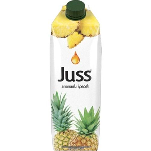 JUSS MEYVELİ İÇECEK 1LT ANANAS