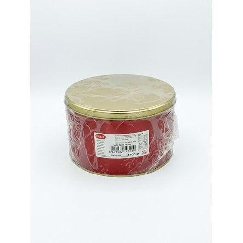 GÜLER TAHİN HELVA 4700GR TENEKE