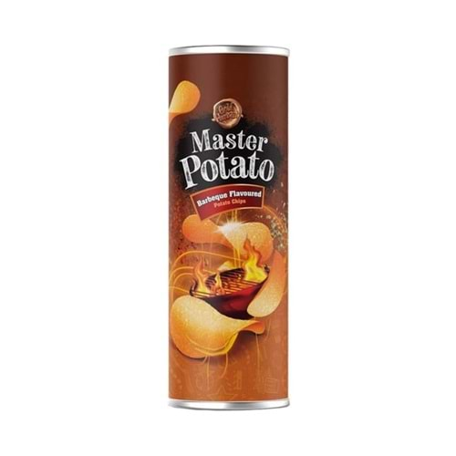 MASTER POTATO 160GR BARBEKÜ ÇEŞNİLİ