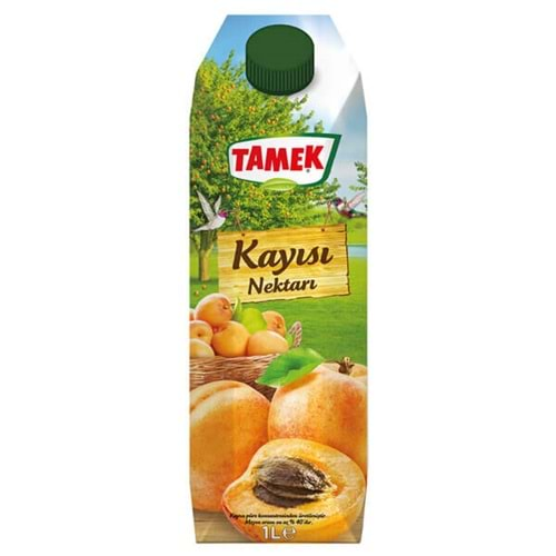 TAMEK 1LT KAYISI NEKTARI