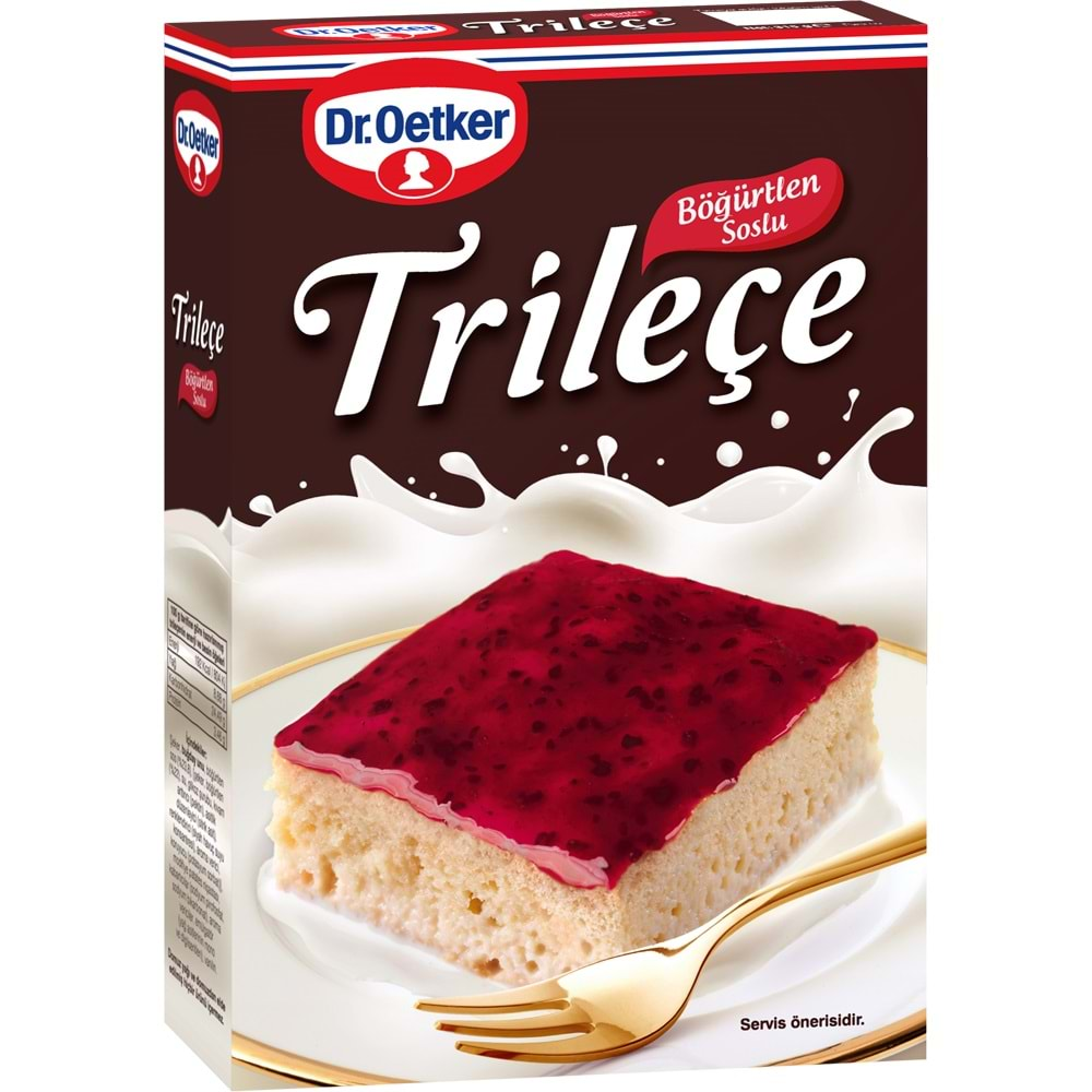 DR OETKER TRİLEÇE 315GR BÖĞÜRTLEN SOSLU